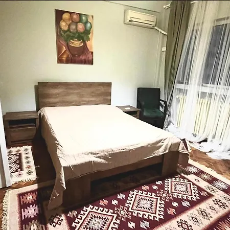 Apartment Comfortable Downtown Flat Bucharest