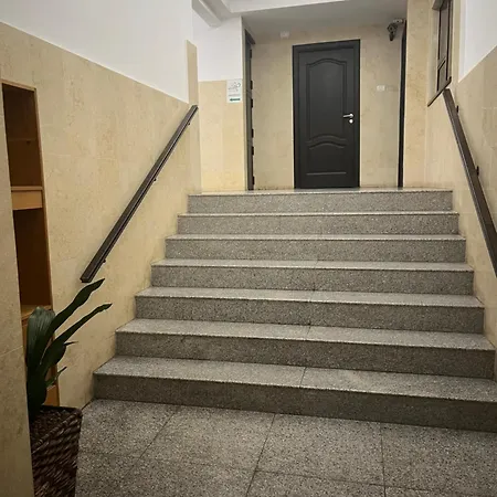 Comfortable Downtown Flat