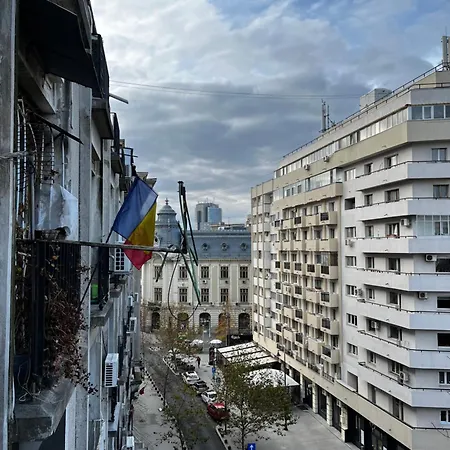 Comfortable Downtown Flat Bükreş