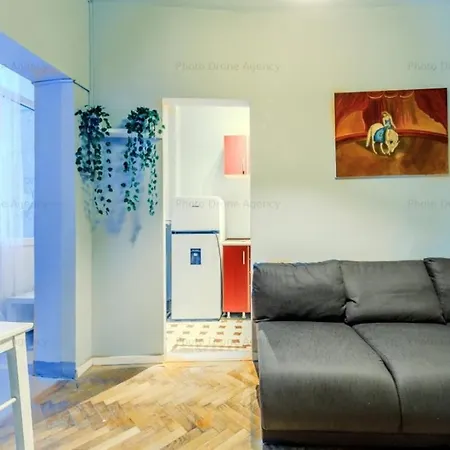 Daire Comfortable Downtown Flat *