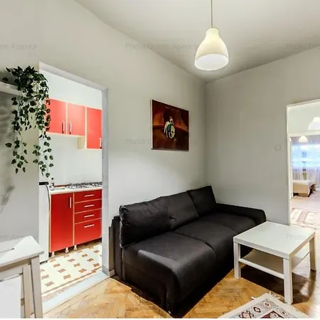 Comfortable Downtown Flat