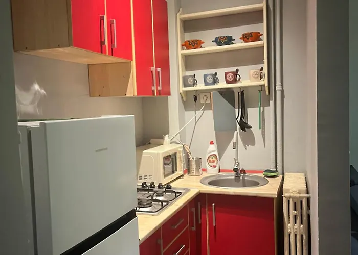 Comfortable Downtown Flat * בוקרשט