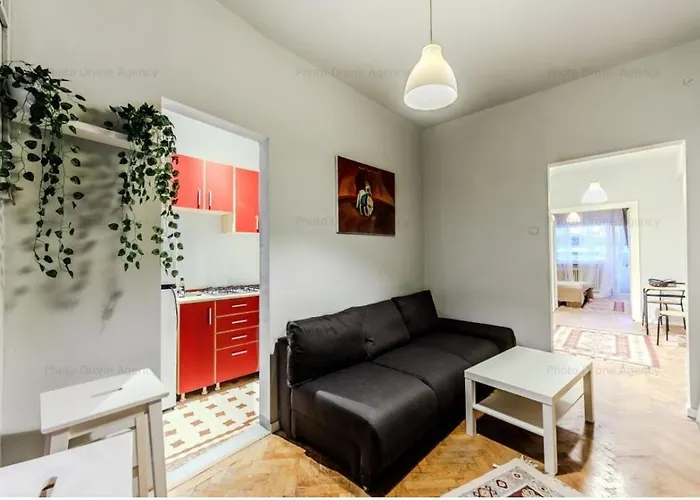 Comfortable Downtown Flat